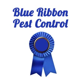 Blue Ribbon Pest Control Inc Listing Image