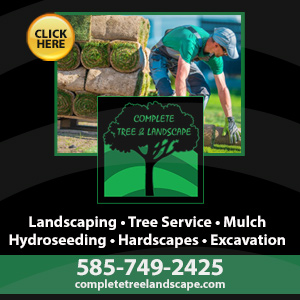 Call Complete Tree & Landscape Inc Today!