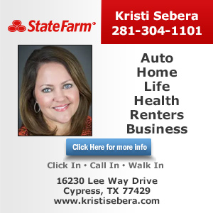 Call Kristi Sebera - State Farm Insurance Today!